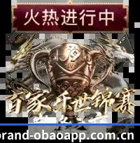 深入豪门腹地